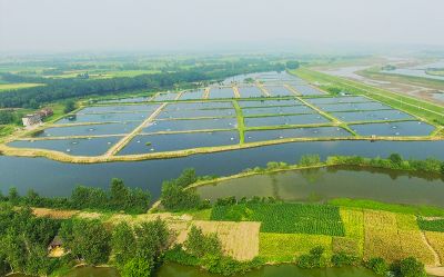 10000 acres of export processing raw material breeding base